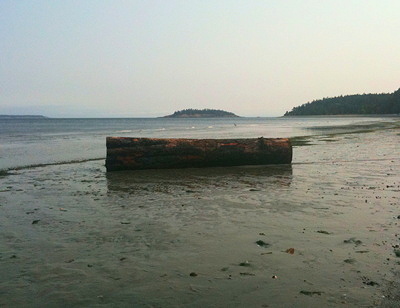 [IMAGE] beached log