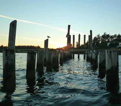 [IMAGE] gulls on old pilings