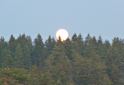[IMAGE] full moon rise