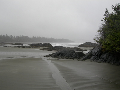 [IMAGE] Chesterman Beach