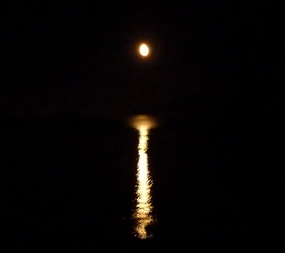 [IMAGE] moonrise