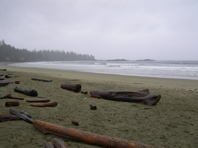 [IMAGE] beach