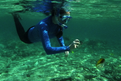 [IMAGE] snorkeling