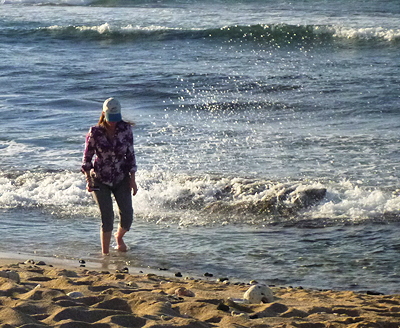 [IMAGE] beach walk