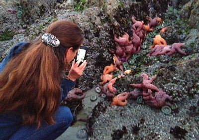 [IMAGE] Alex and sea stars