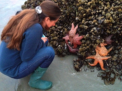 [IMAGE] Hello, sea stars