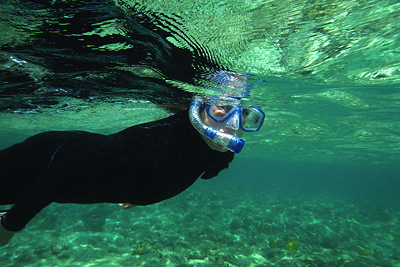 [IMAGE] snorkeling