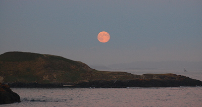 [IMAGE] moonrise