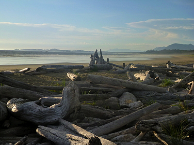 [IMAGE] B.C. beach