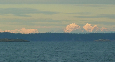 [IMAGE] Coast range