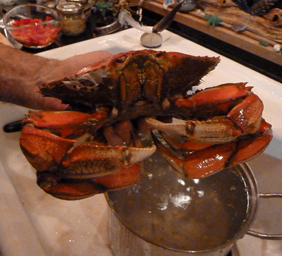 [IMAGE] cooked crab