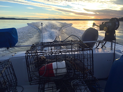 [IMAGE] Crabbing in the San Juans