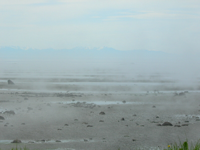 [IMAGE] foggy at False Bay
