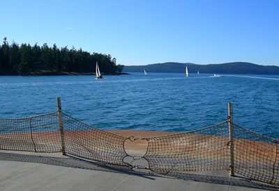 [IMAGE] Ferry net