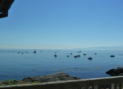 [IMAGE] fishing boats