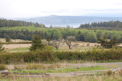 [IMAGE] Griffin Bay