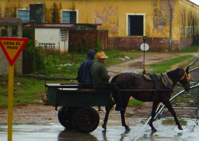 [IMAGE] horse bus