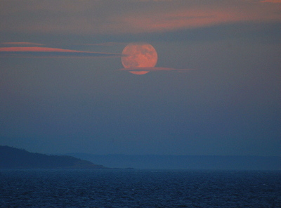 [IMAGE] moonrise