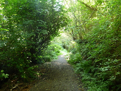 [IMAGE] path to beach