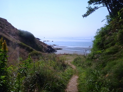 [IMAGE] path to beach