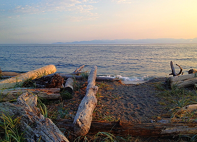 [IMAGE] picnic spot