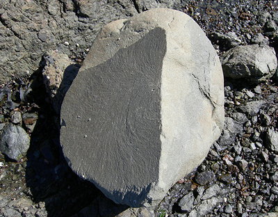 [IMAGE] beached rock