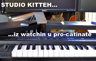 [IMAGE] studio kitteh