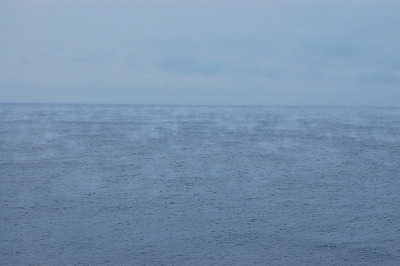 [IMAGE] snow fog on the sea