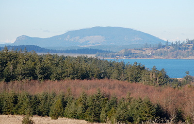 [IMAGE] Turtleback Mountain